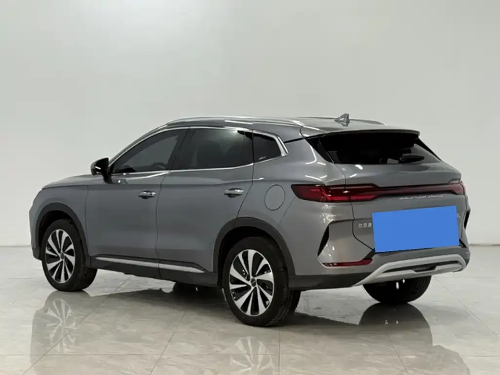 BYD PLUS New Energy — фото 8