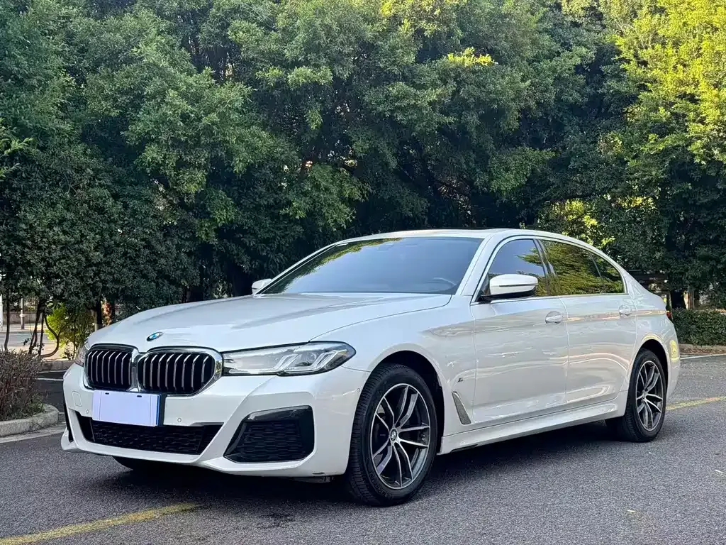 BMW 5 Series — фото 1