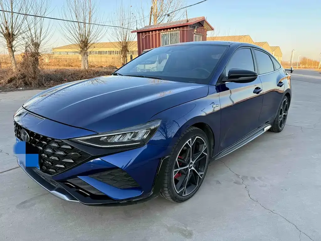 Hyundai Fista — фото 1