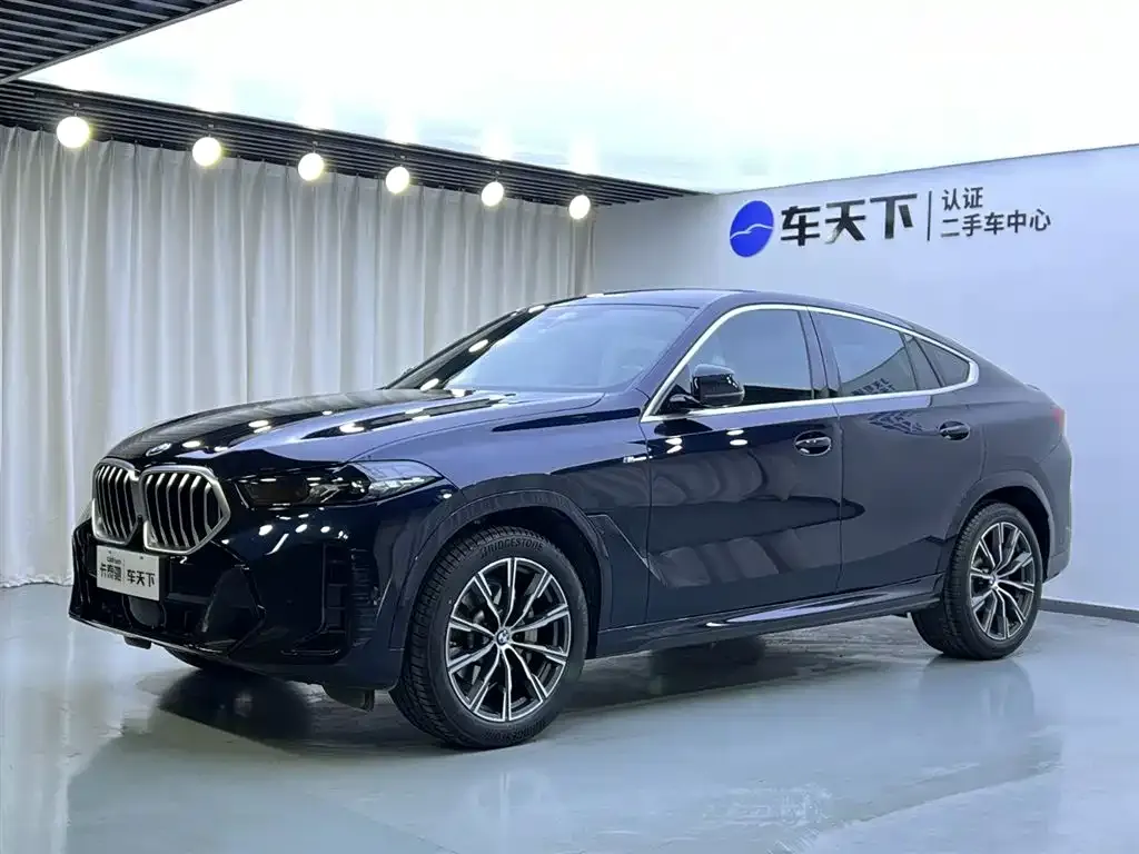 BMW X6 — фото 1