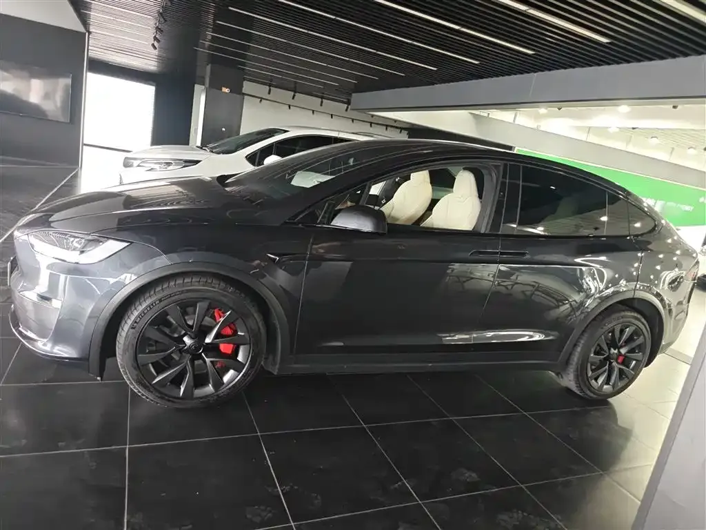 Tesla Model X — фото 3