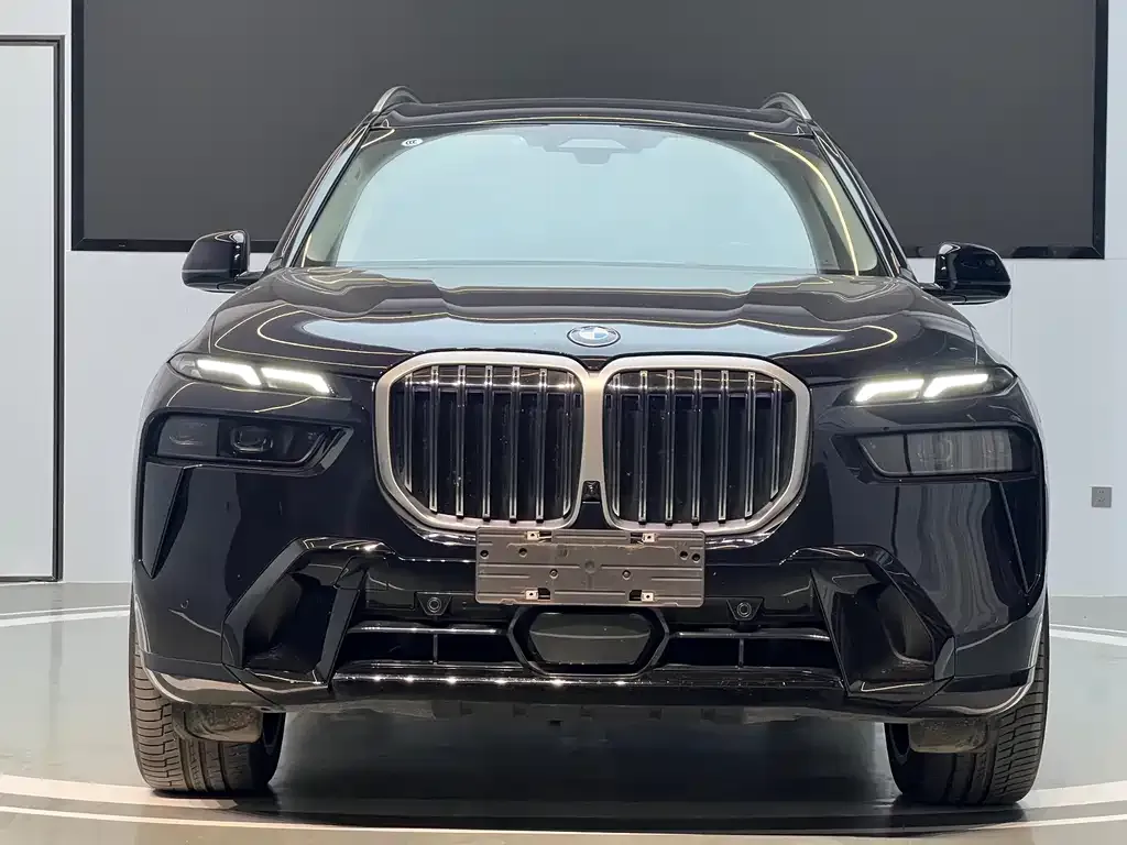 BMW X7 — фото 2