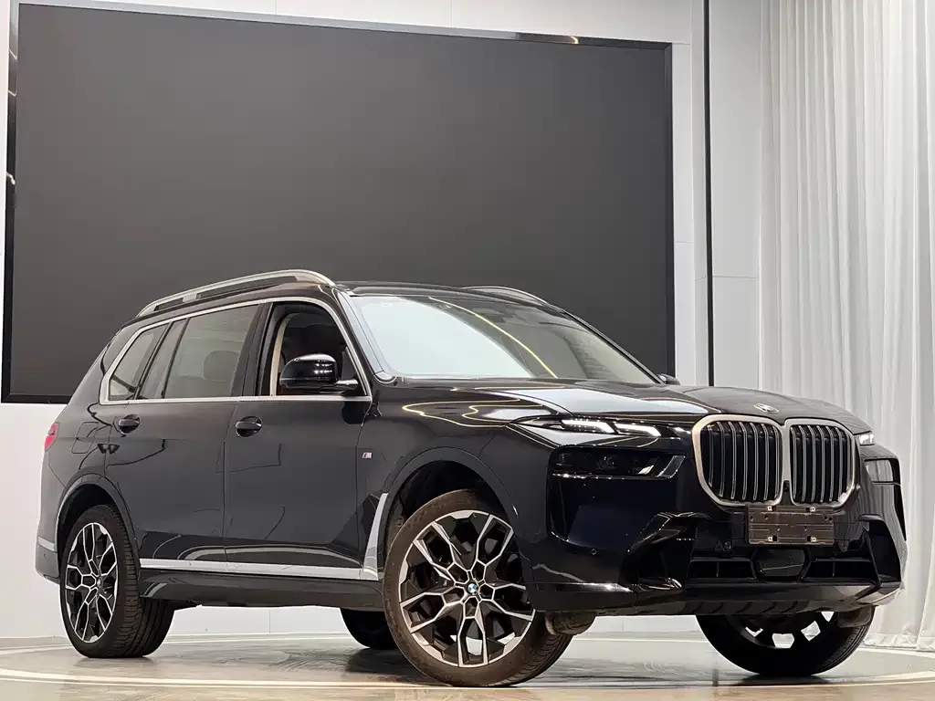 BMW X7 — фото 10