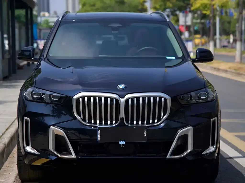 BMW X5 — фото 8