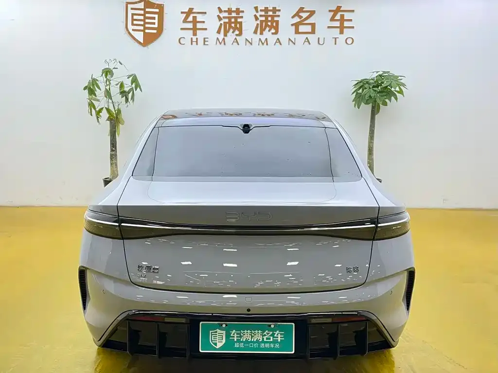 BYD Seal — фото 2