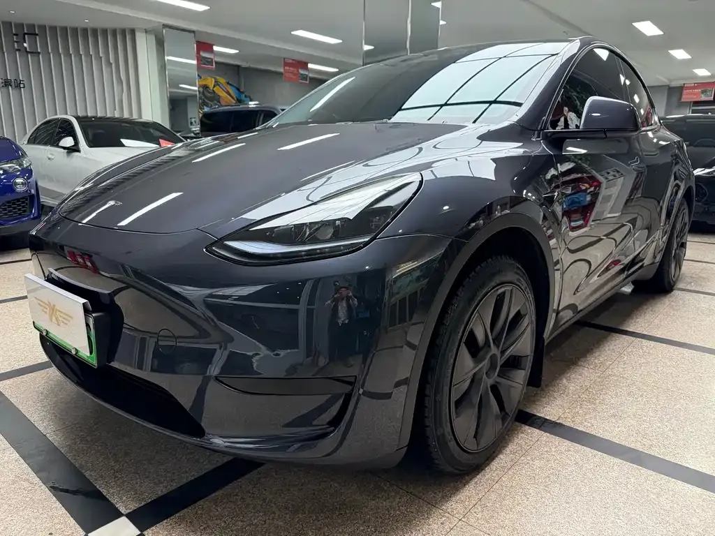 Tesla Model Y — фото 1