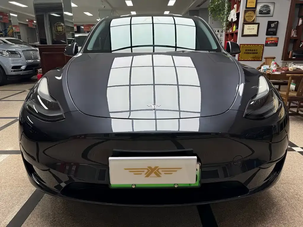 Tesla Model Y — фото 2