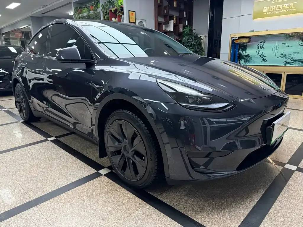 Tesla Model Y — фото 3