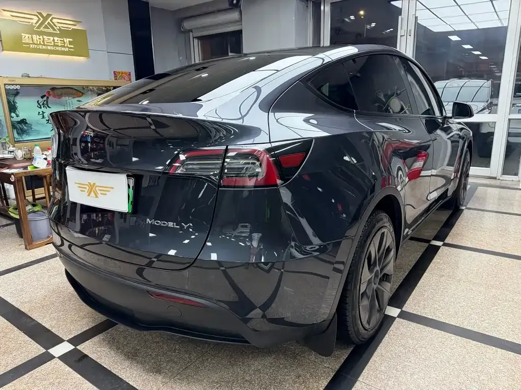 Tesla Model Y — фото 5