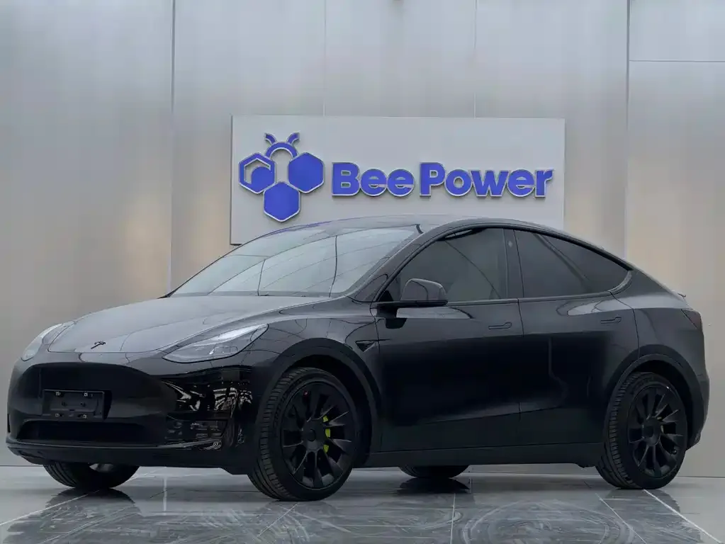 Tesla Model Y — фото 1