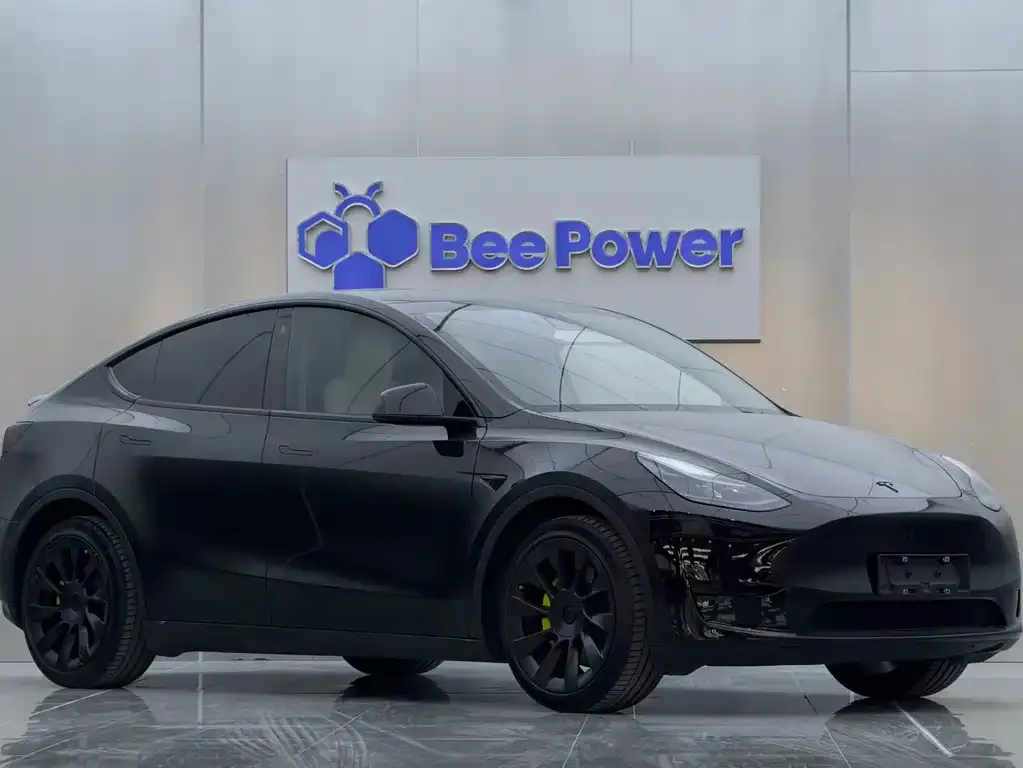 Tesla Model Y — фото 3
