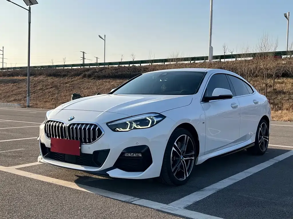BMW 2 Series (Import) — фото 1