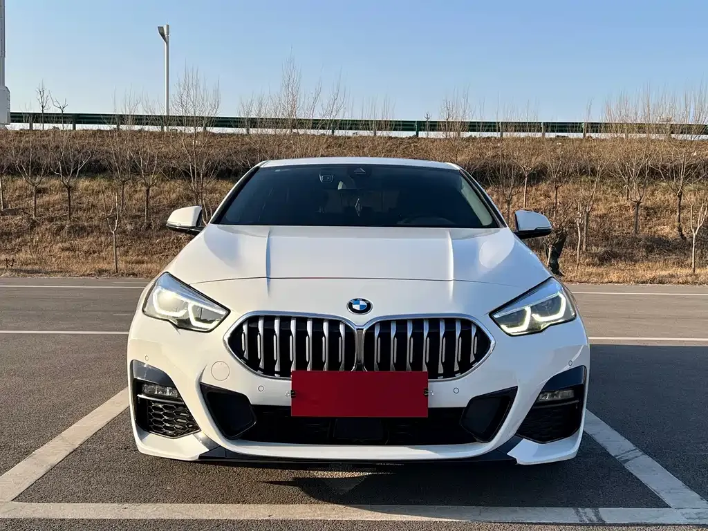 BMW 2 Series (Import) — фото 2