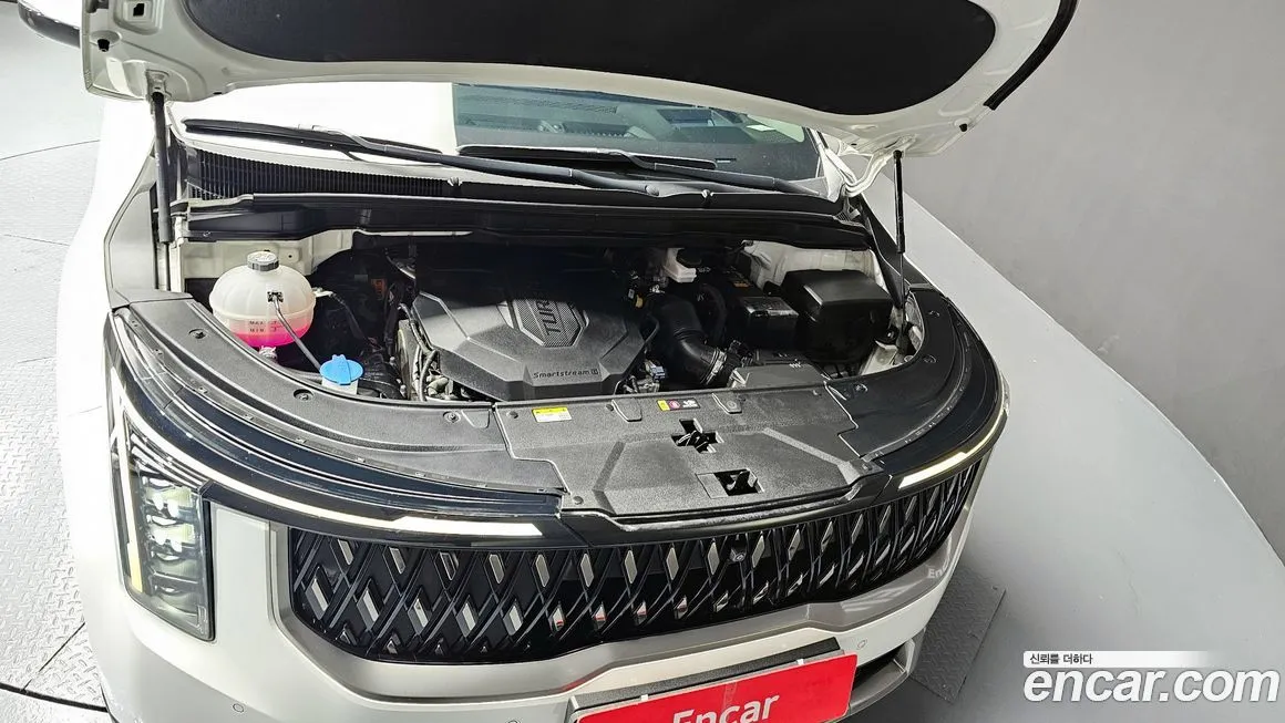 Kia Carnival — фото 10