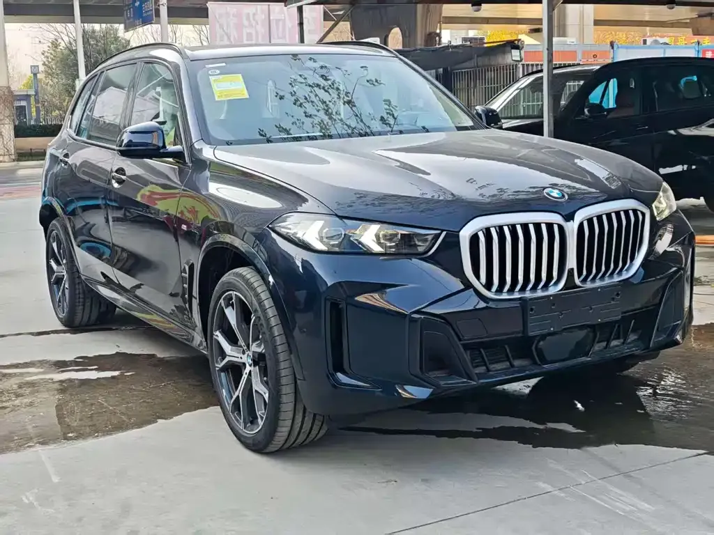 BMW X5 — фото 4