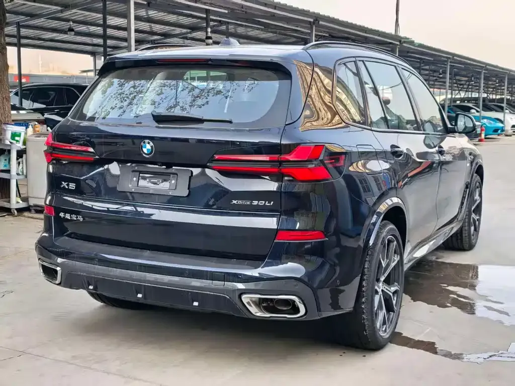 BMW X5 — фото 10