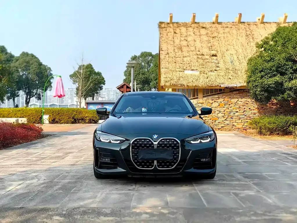 BMW 4 Series — фото 9