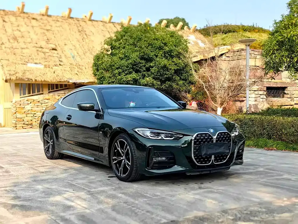 BMW 4 Series — фото 10