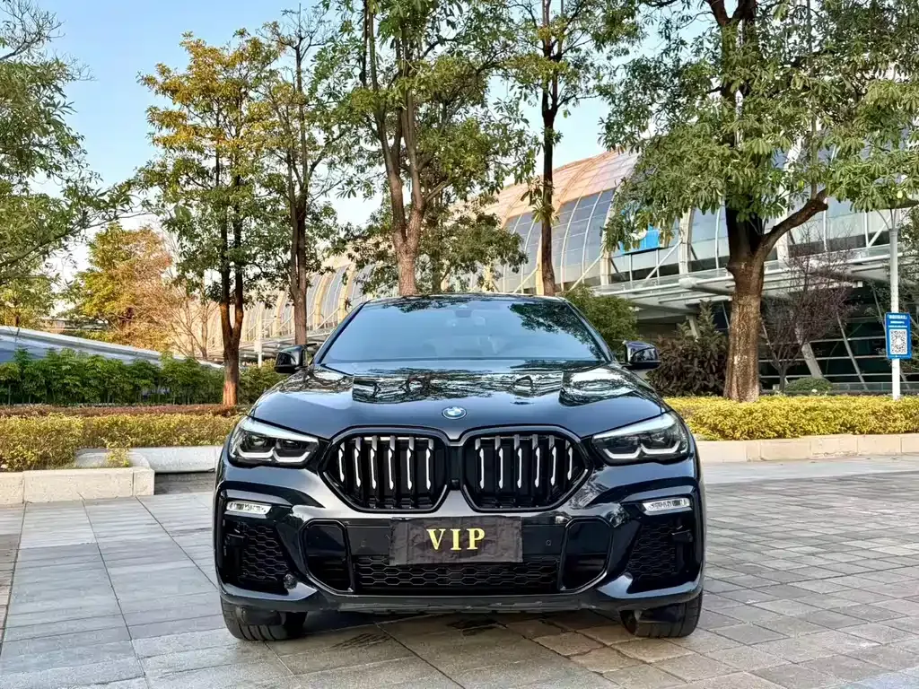 BMW X6 — фото 8