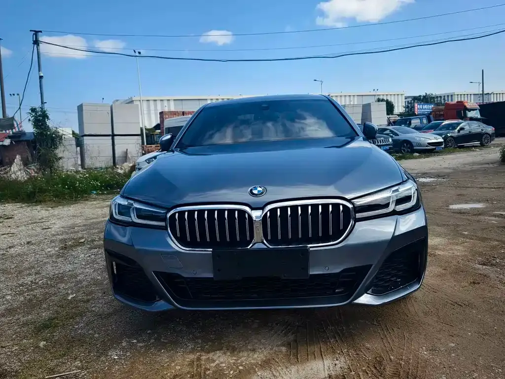 BMW 5 Series (Import) — фото 5
