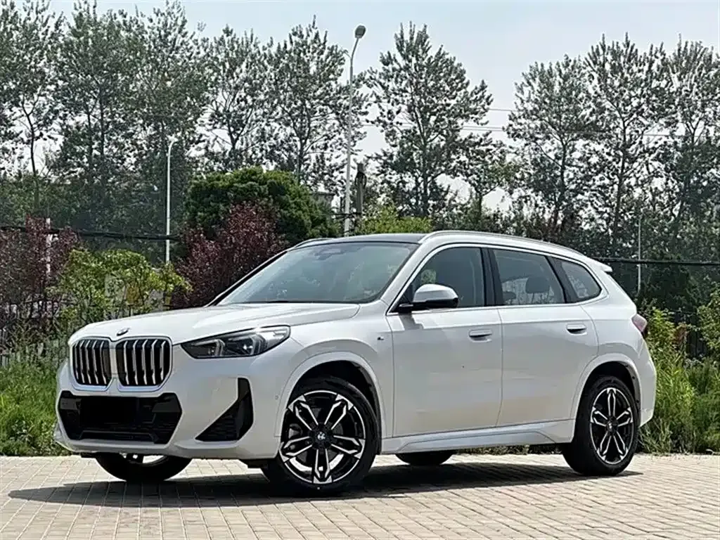 BMW X1 — фото 1