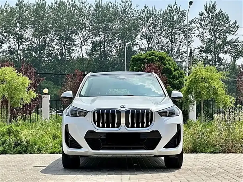 BMW X1 — фото 2