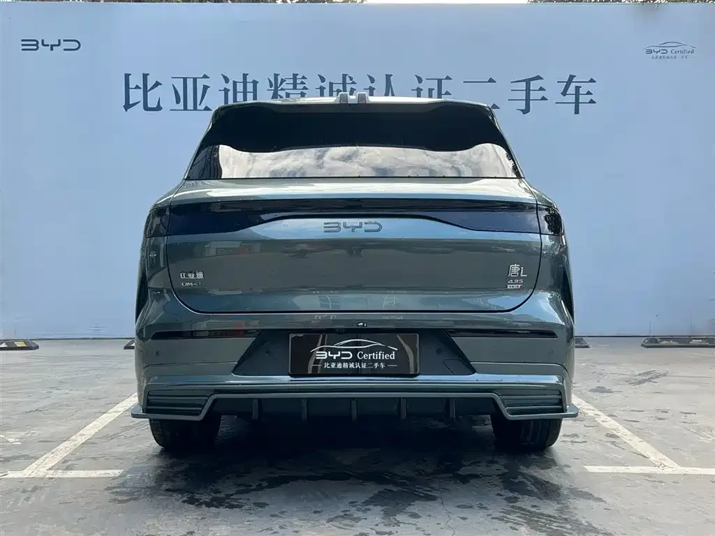 BYD Tang L — фото 6