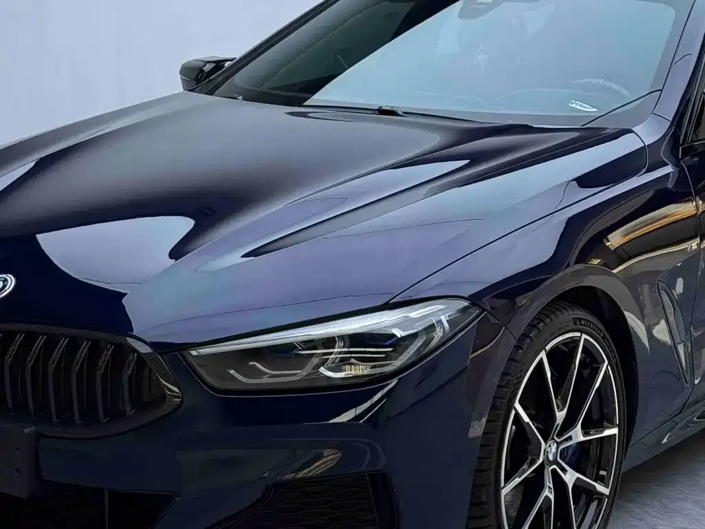BMW 8 Series — фото 6