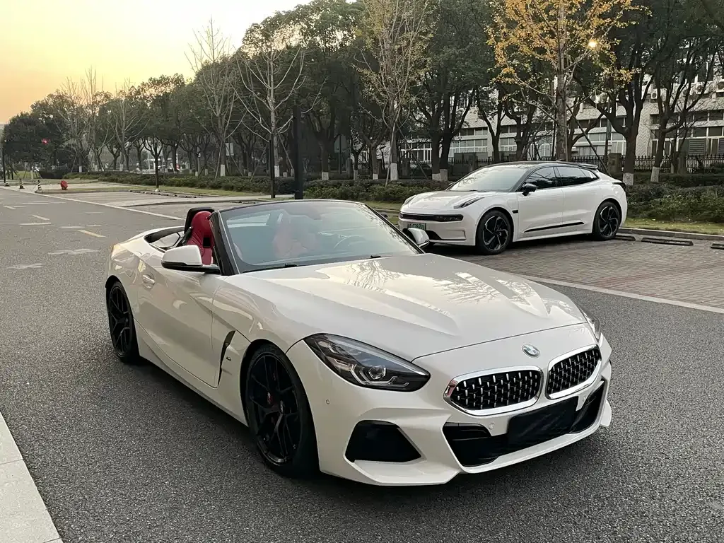 BMW Z4 — фото 10