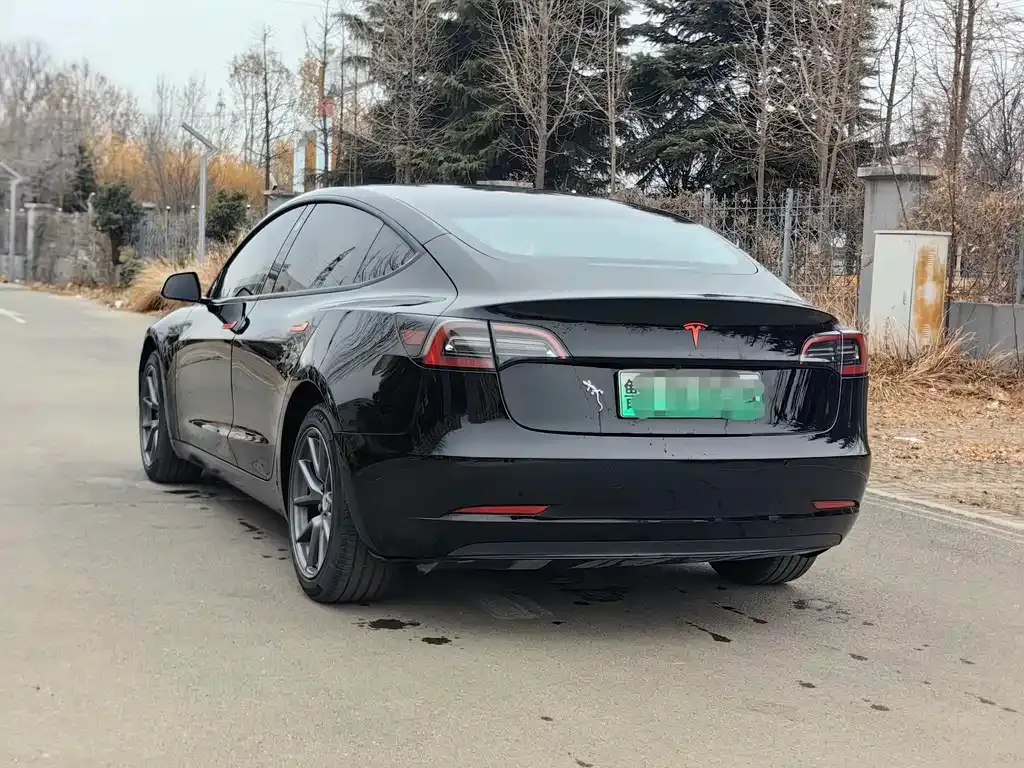 Tesla Model 3 — фото 2