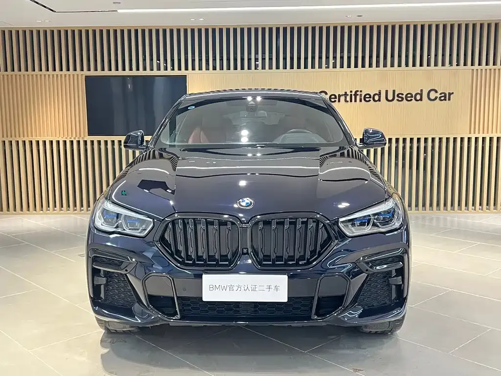 BMW X6 — фото 9