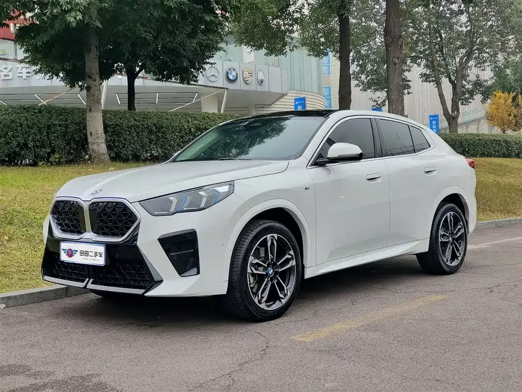 BMW X2 (Import) — фото 1