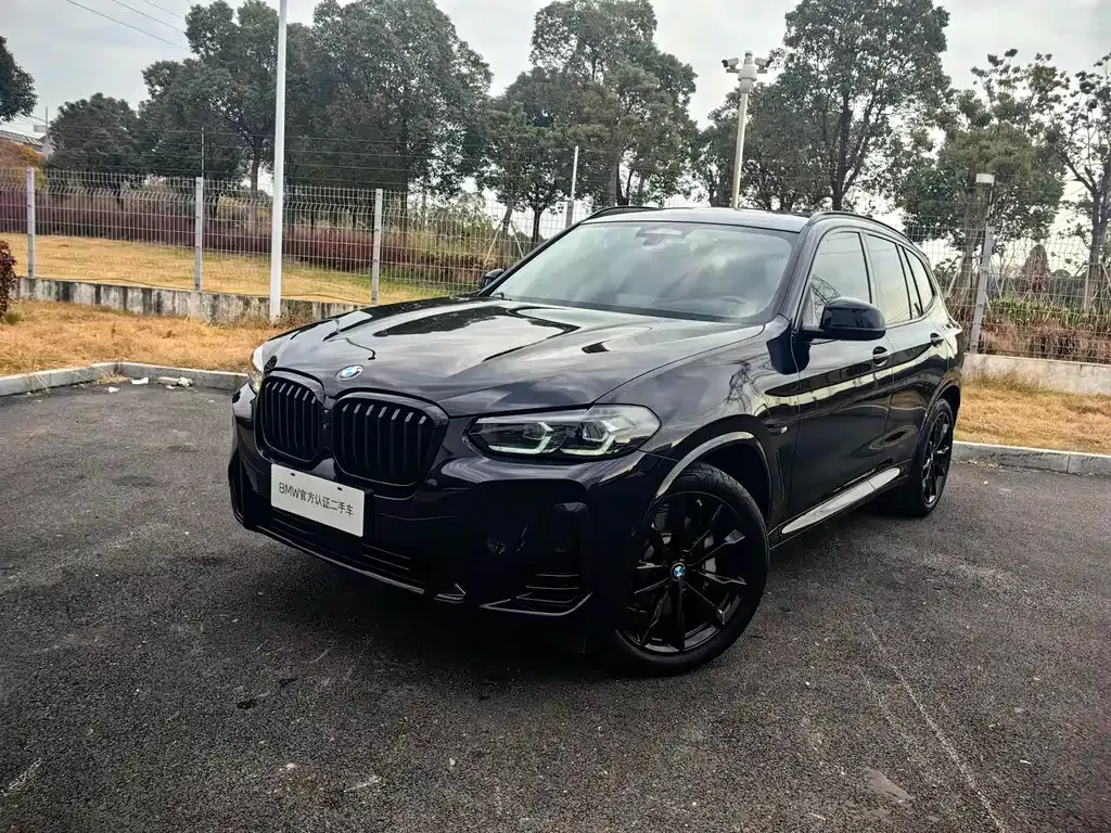 BMW X3 — фото 1