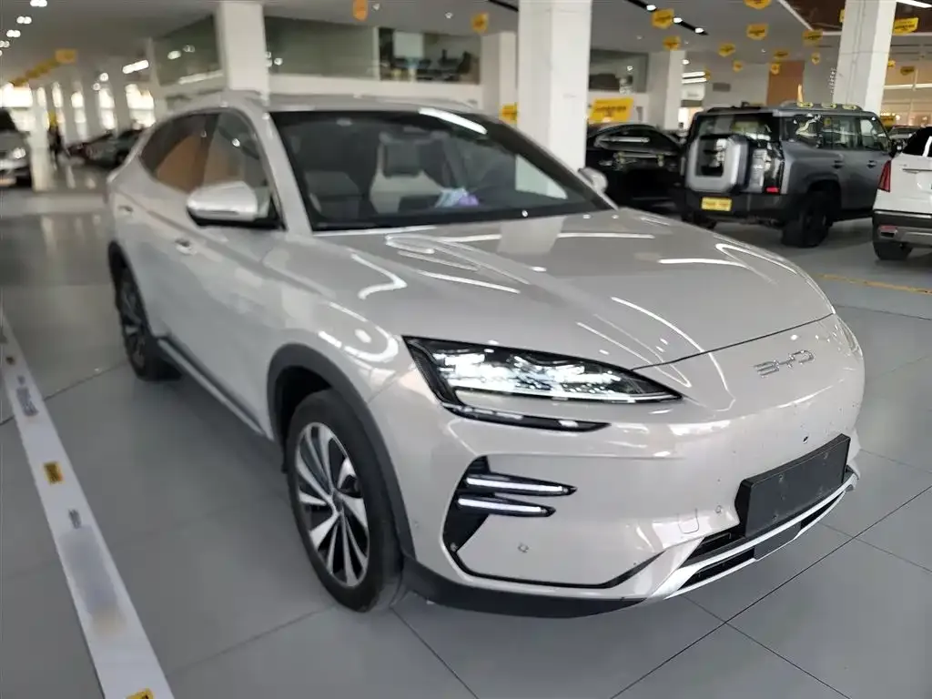 BYD PLUS New Energy — фото 4