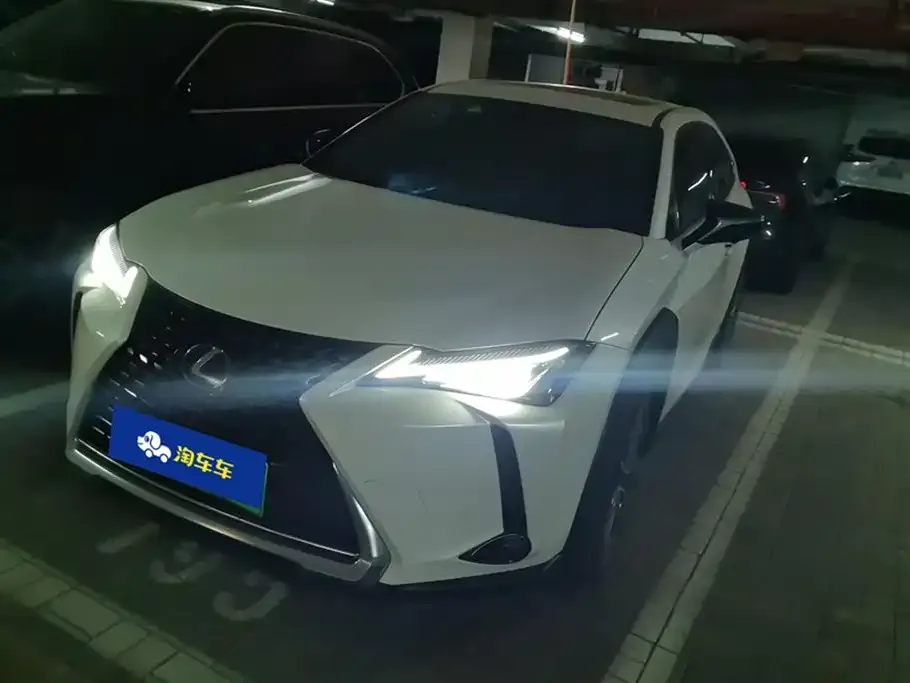Lexus UX New Energy — фото 1