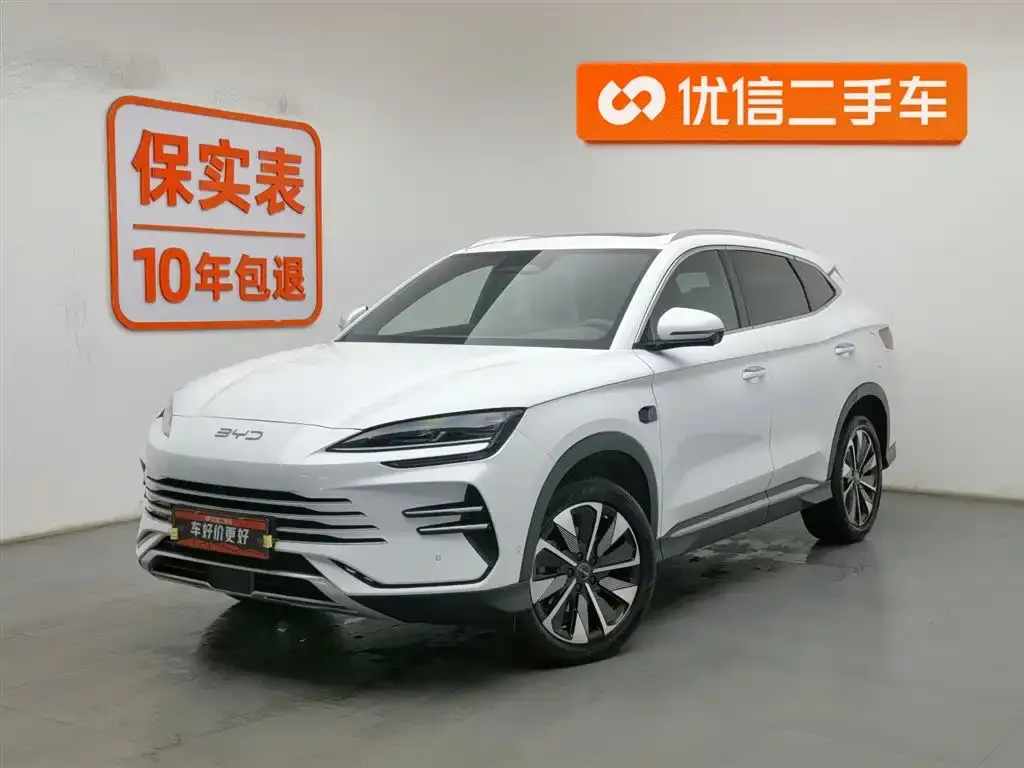 BYD PLUS New Energy — фото 1