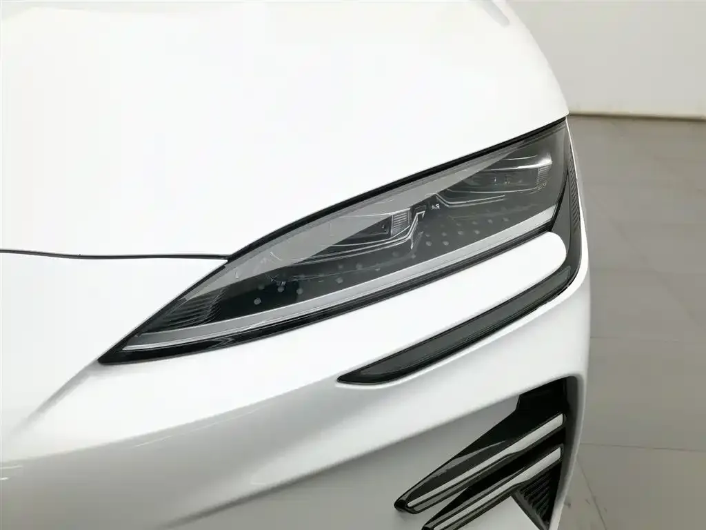 BYD PLUS New Energy — фото 4