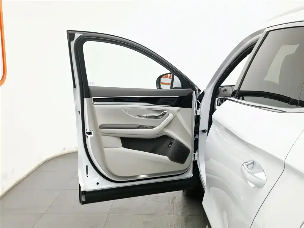 BYD PLUS New Energy — фото 10
