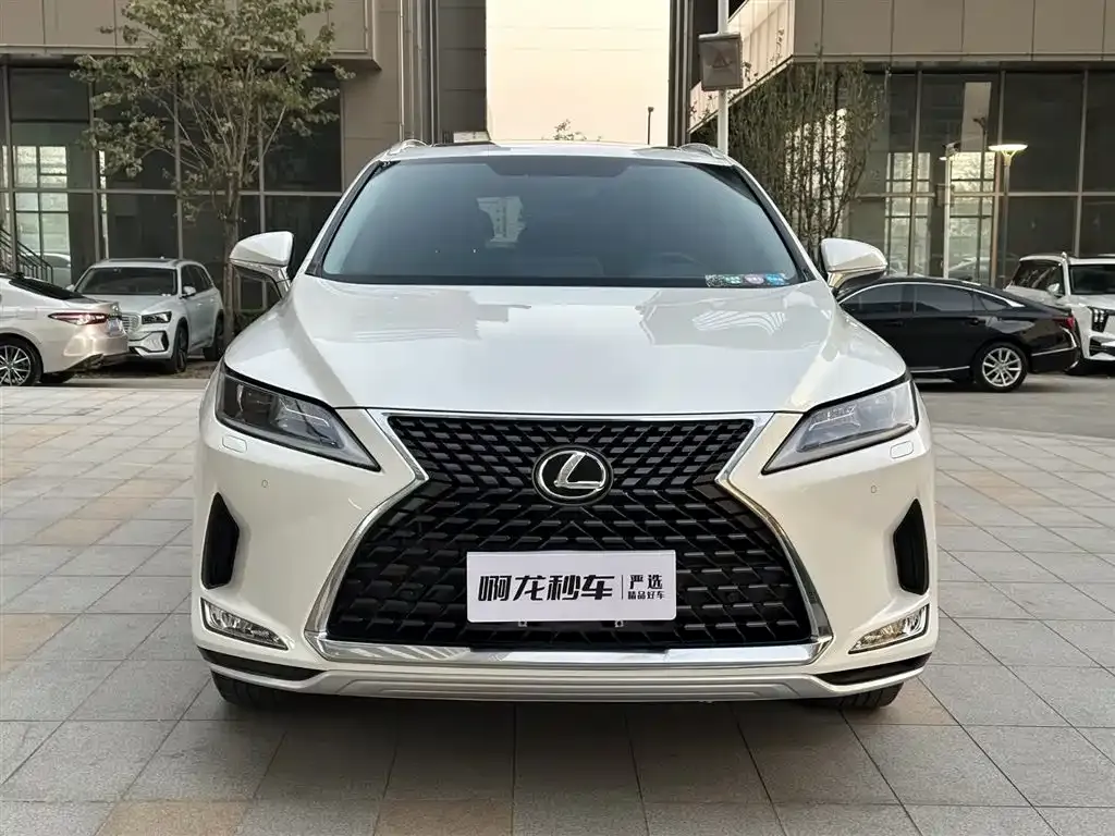 Lexus RX — фото 6