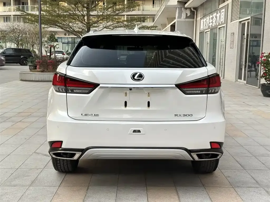 Lexus RX — фото 9