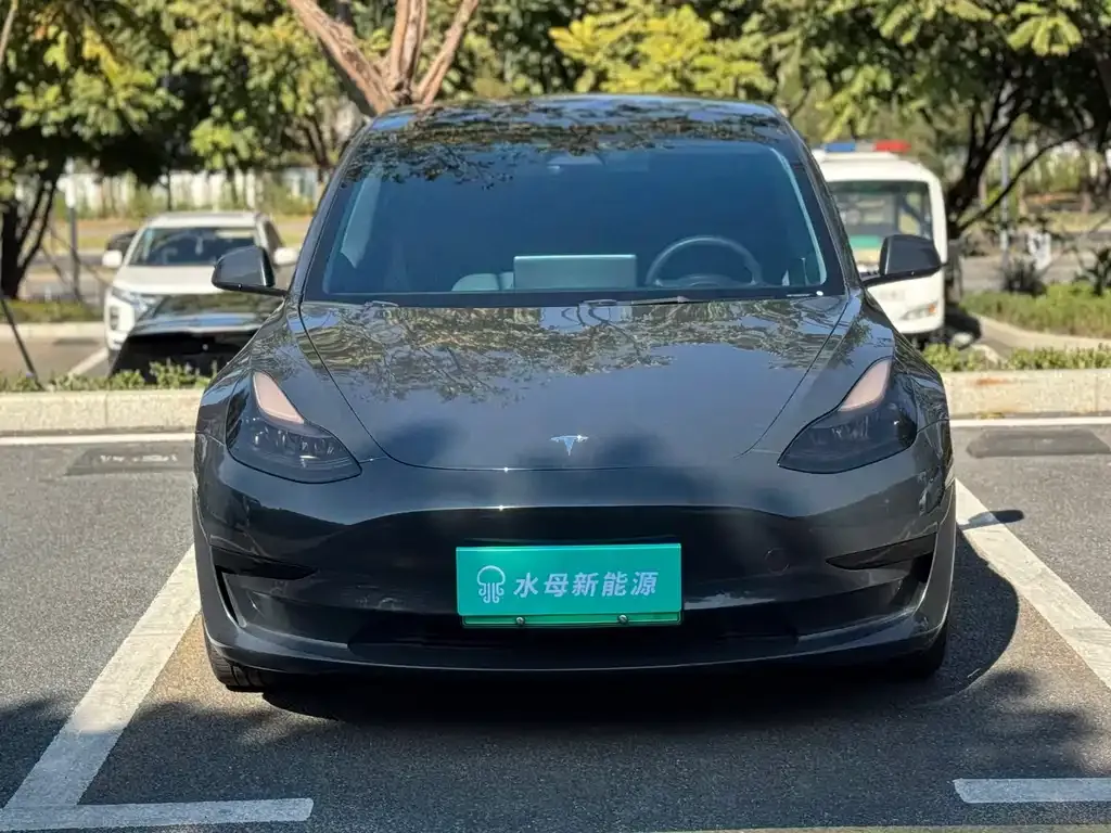 Tesla Model 3 — фото 2