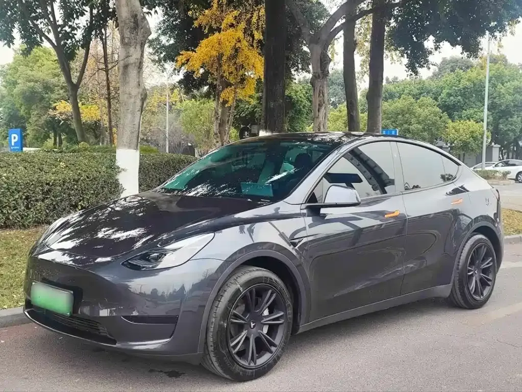 Tesla Model Y — фото 1