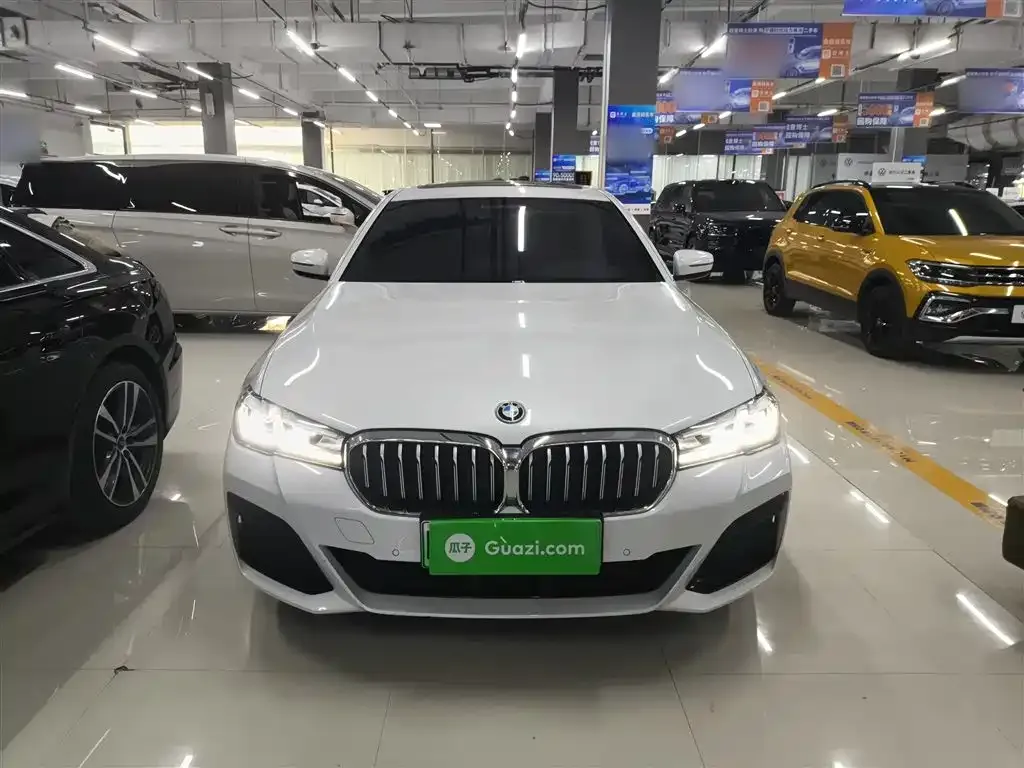 BMW 5 Series New Energy — фото 7