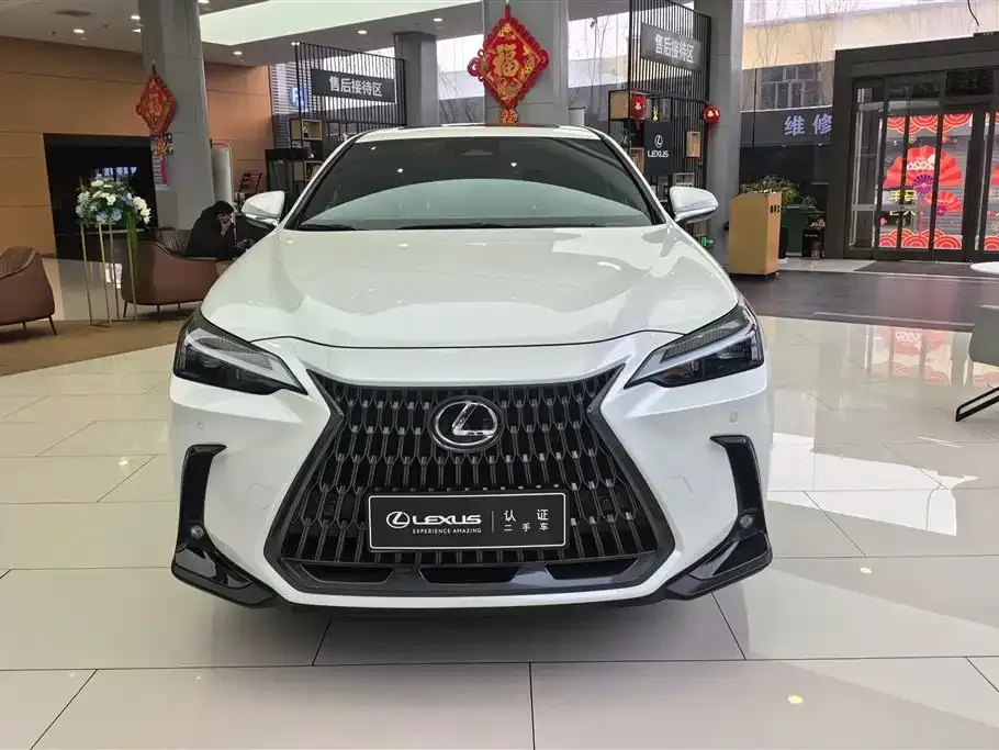 Lexus NX New Energy — фото 9