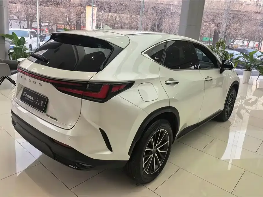 Lexus NX New Energy — фото 3