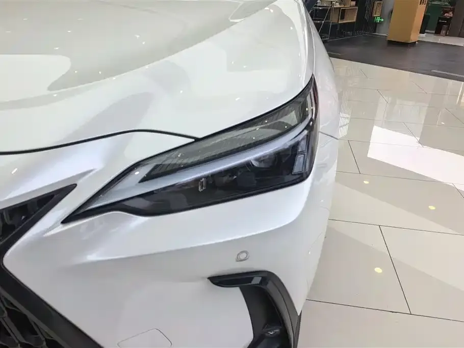 Lexus NX New Energy — фото 2