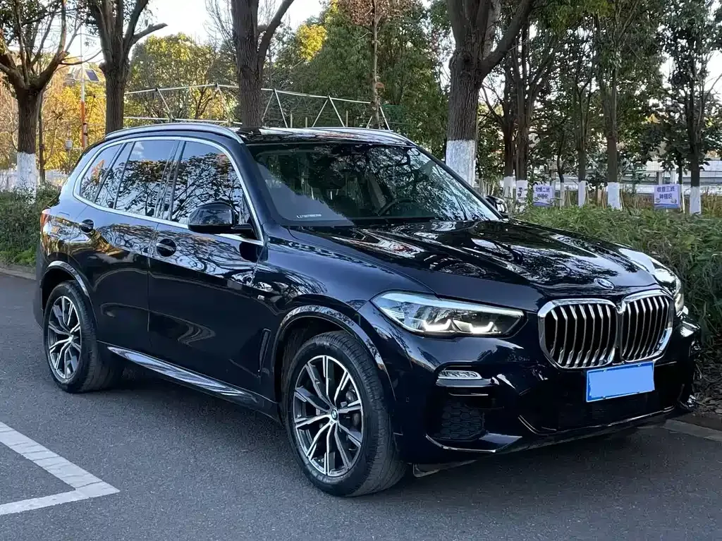BMW X5 (Import) — фото 6