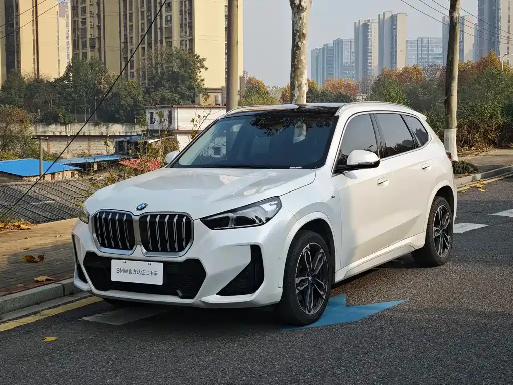 BMW X1 — фото 1