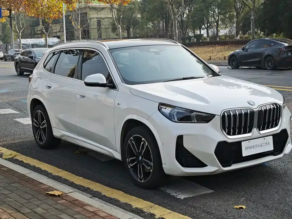 BMW X1 — фото 10