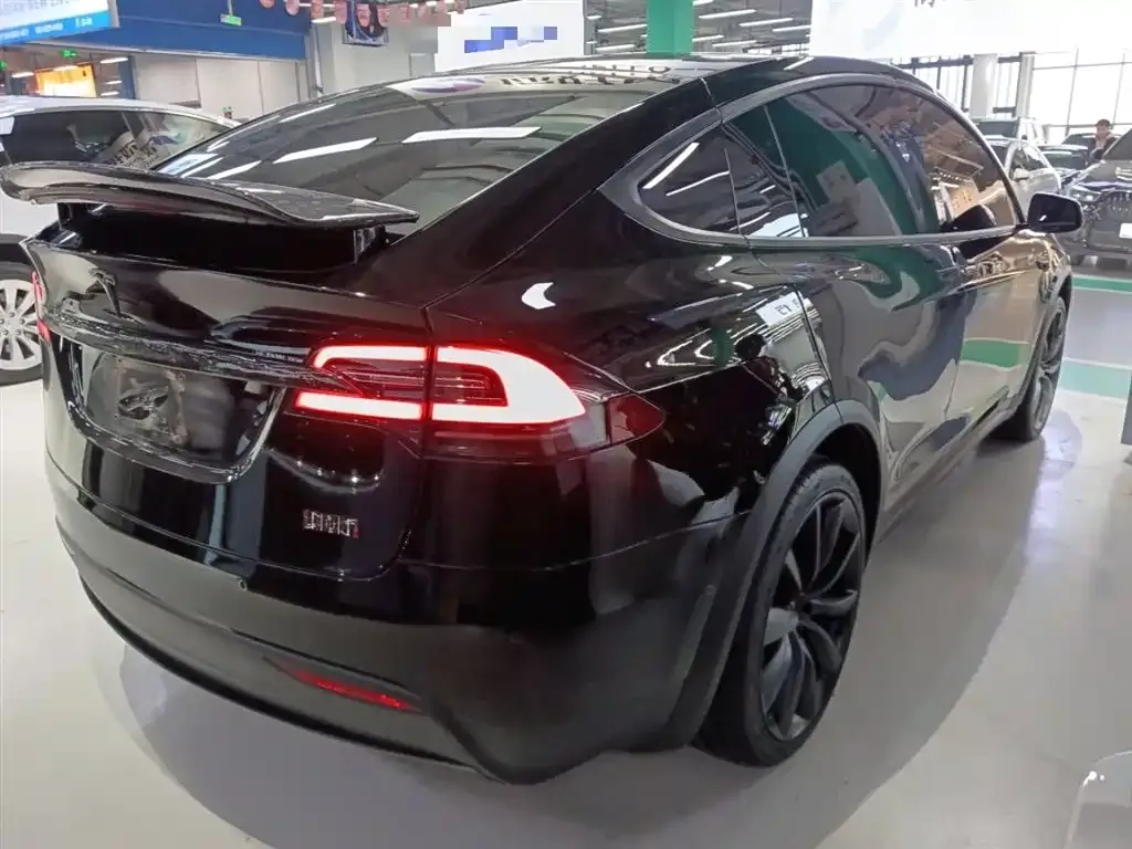 Tesla Model X — фото 6
